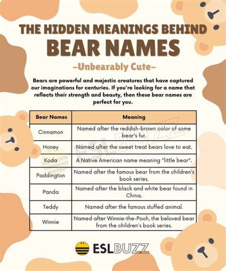 200 Female Bear Names Personalizing Wildlife