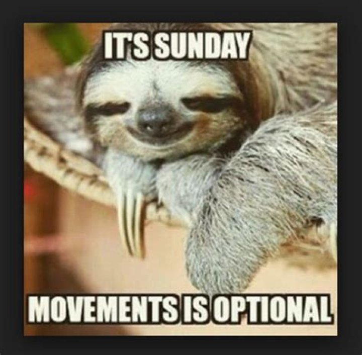 27 Funny Sunday Memes That Are Perfect for Lazy Sundays