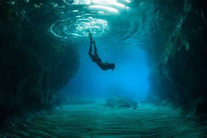 A Deep Dive Into Beauty And Intrigue
