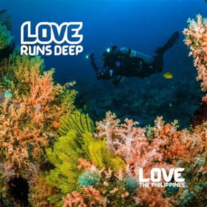 A Deep Dive Into Love, Partnership, And Commitment