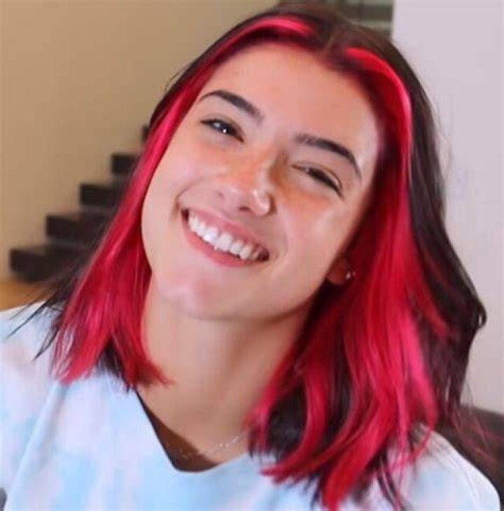 Charli D&rsquo;Amelio Bio, Wiki, Net Worth, Dating, Boyfriend, Age