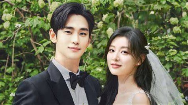 Complete Guide: Uncovering The Sibling Of Kim Soo Hyun