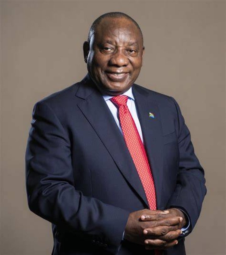 Cyril Ramaphosa's children Meet Tulisa Ramaphosa One News Gh