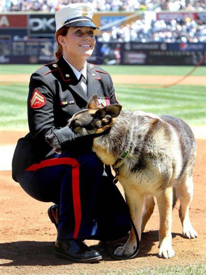 Did Megan Leavey And Sgt. Eric Morales Marry? - The Truth Revealed