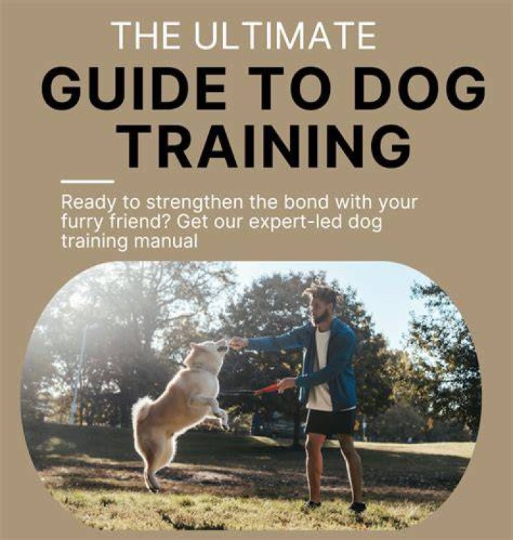Discover The Secrets Of Hasachi Ouchi: The Ultimate Dog Training Technique