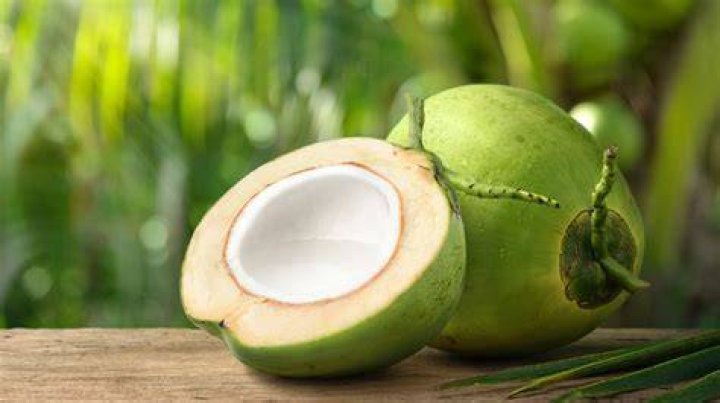 Exclusive Guide To Coconut Fruit: Unlocking Its Nutritional Treasures