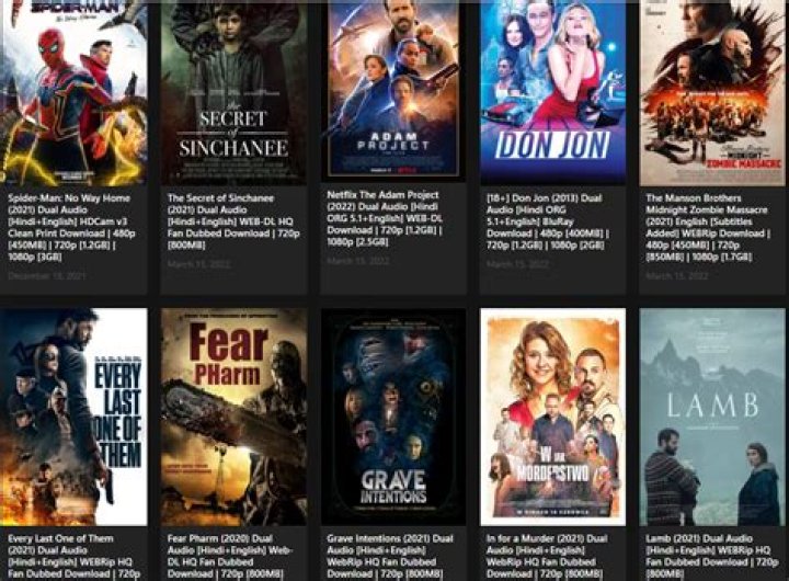 HDMovieHub, All Movies Hub, HDmovies, Movieshub 2024 ReadHindiMei