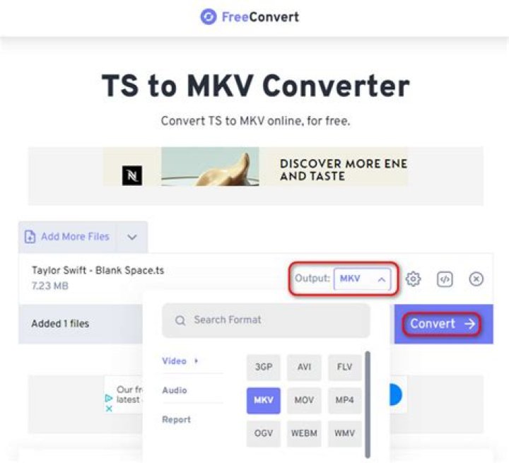 MKV to TS 100 Free & Online