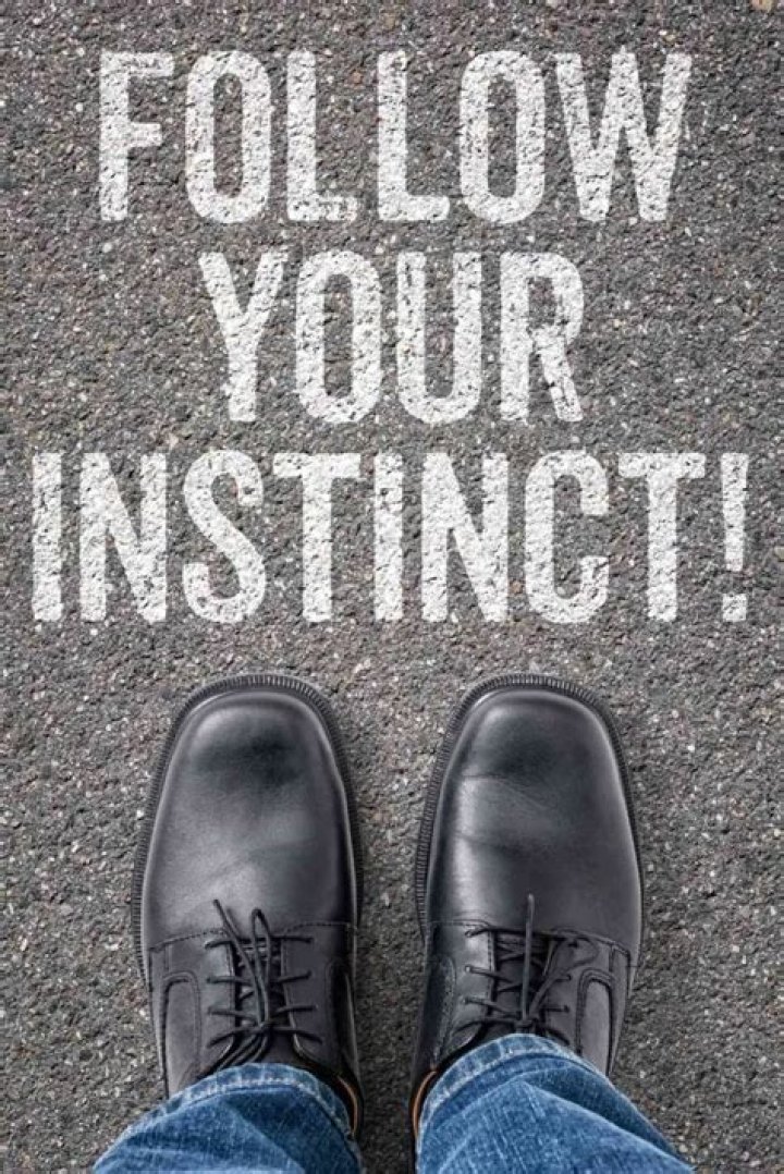 Pin on Instincts...