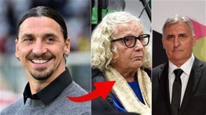 The Definitive Guide To Efik Ibrahimovic's Career And Legacy