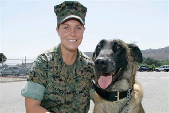The Heartwarming Bond: Megan Leavey And Matt Morales's Marital Journey