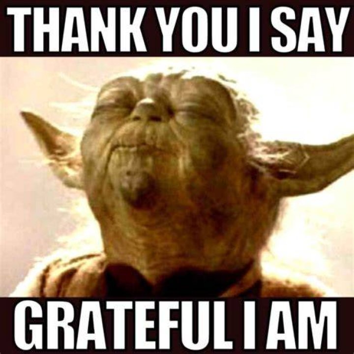The Ultimate Guide To Expressing Gratitude At Work: Thank You Memes