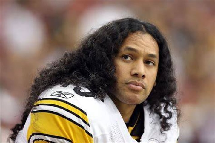 Troy Polamalu's wife Theodora Polamalu has been in the picture for