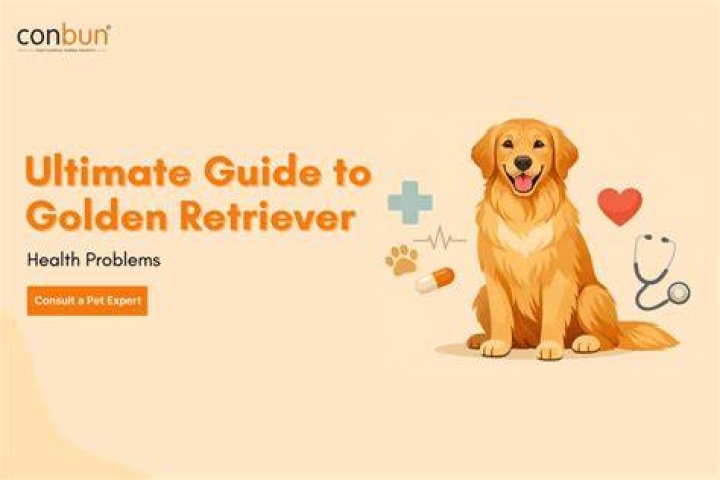 Ultimate Guide To Understanding The Golden Birthday