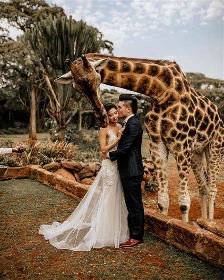 Unveiling The Enchanting Wedding Of Cheryl Scott And Dante Deiana