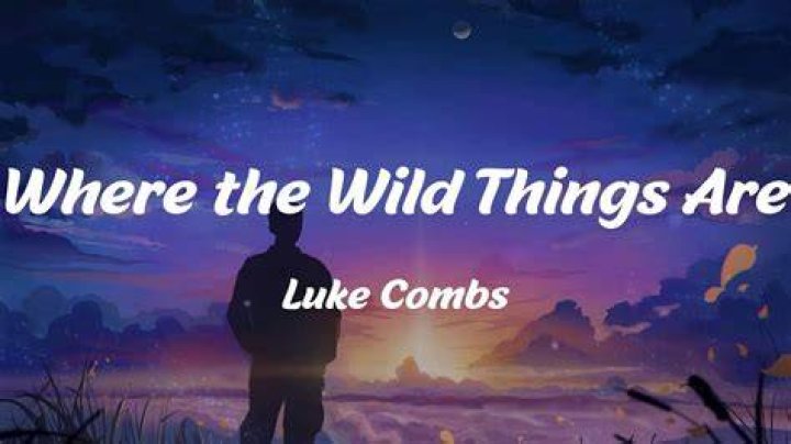 Where The Wild Things Are: Discover Luke Combs' Captivating Lyrics