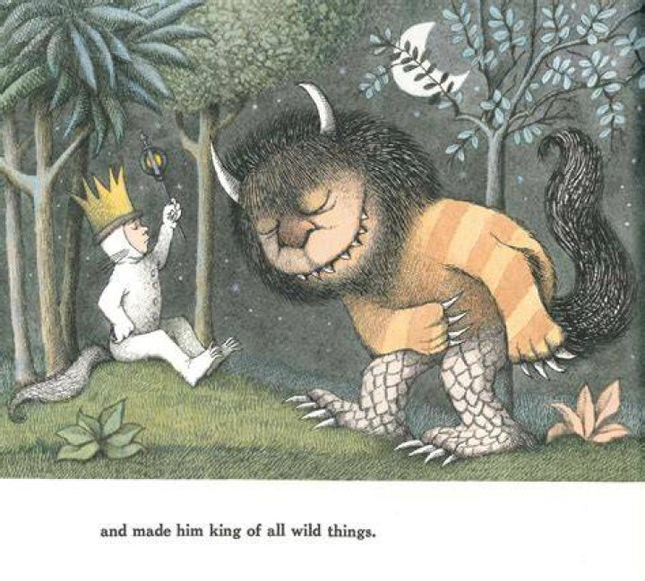 Where The Wild Things Are